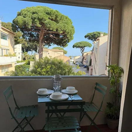 Petit Cocon Sur Le Port D'hyères Avec Parking, Proche Des Plages *